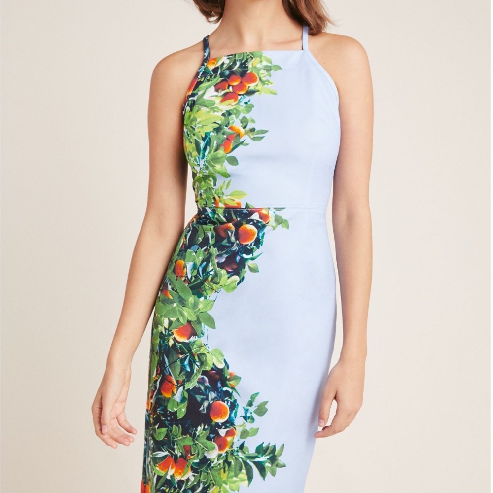 Anthropologie Floral Print Halter Dress